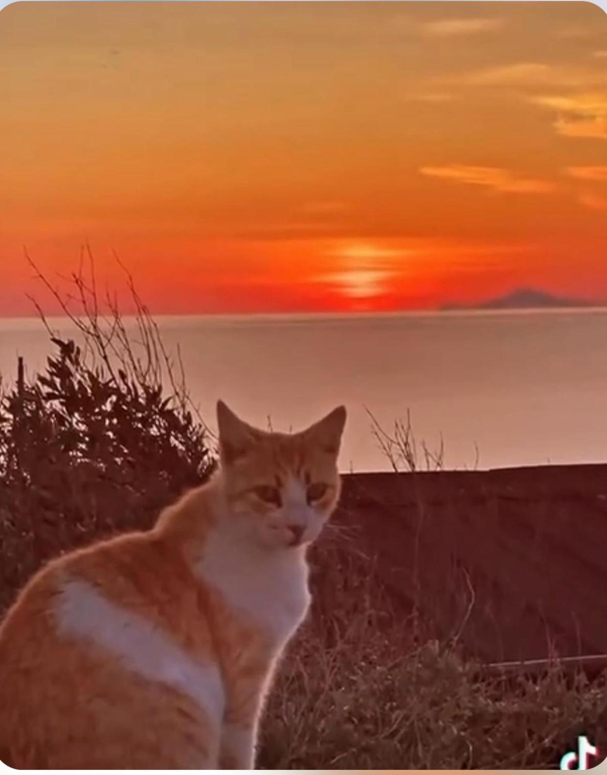 Oia Sunset House Pothitou Villa Eksteriør billede